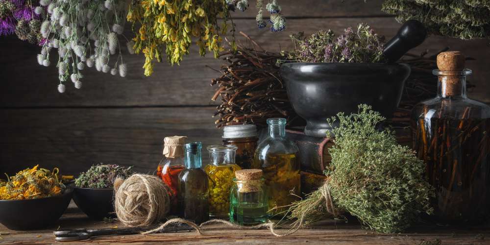 Ancient Wisdom in Modern Living: Bridging Traditions with Basic Herbs