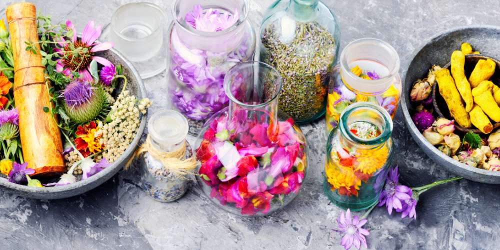 Herbal Empowerment: Taking Charge of Your Health Journey